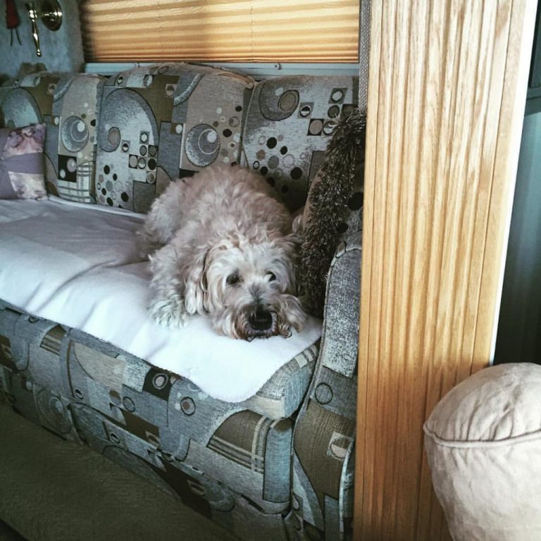 Oh My Gosh – It was Crazy!