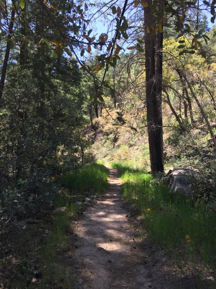 The Gnarly Rocky Road of Life