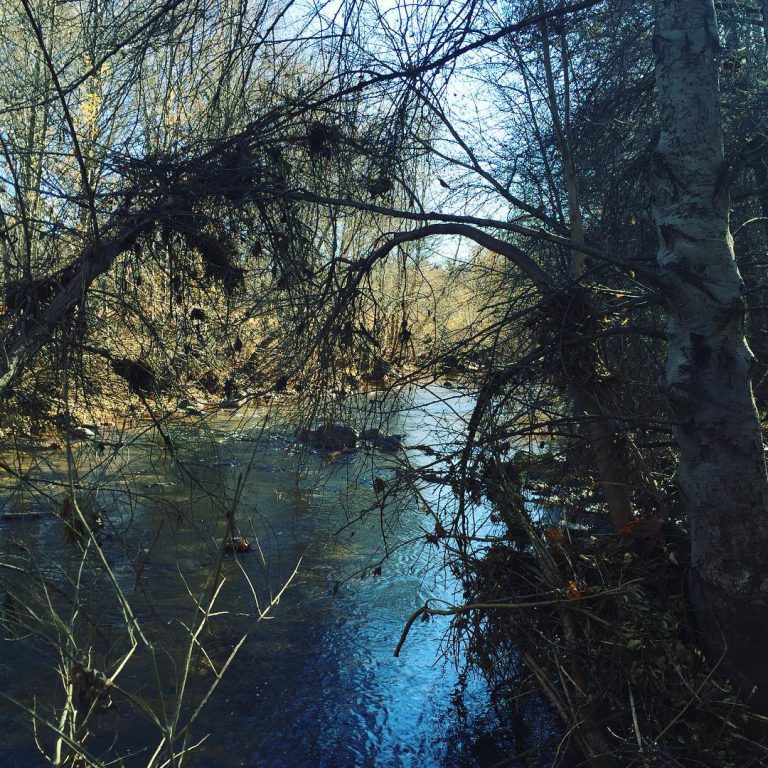 My New Years Camping Story