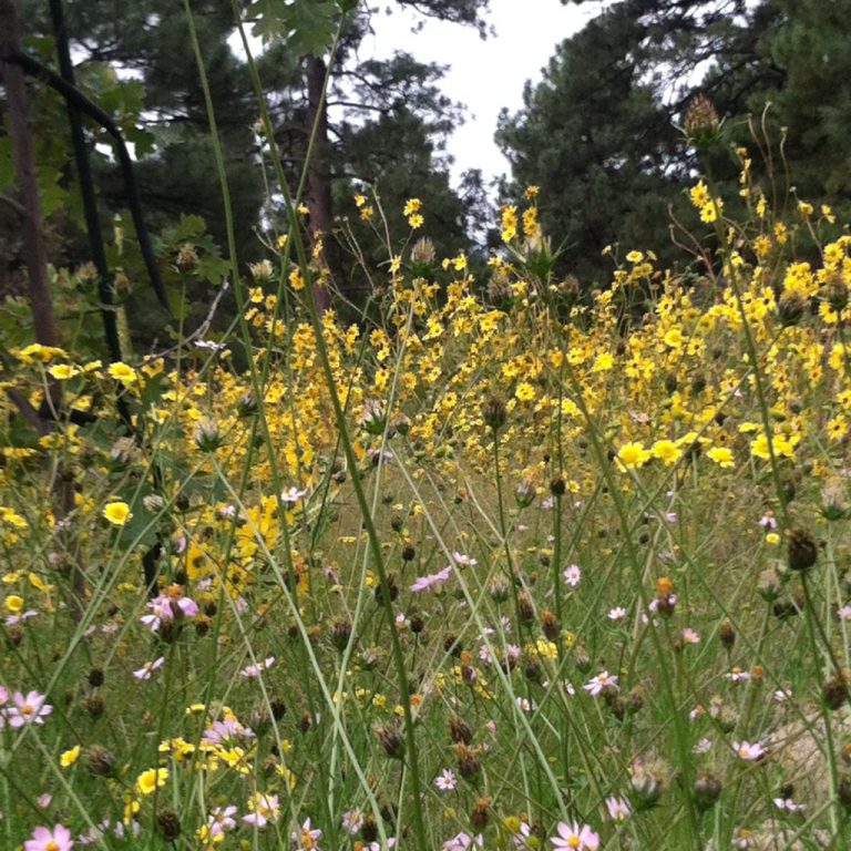 Yes, you can let go of the ghost of the past and realize a new dream!