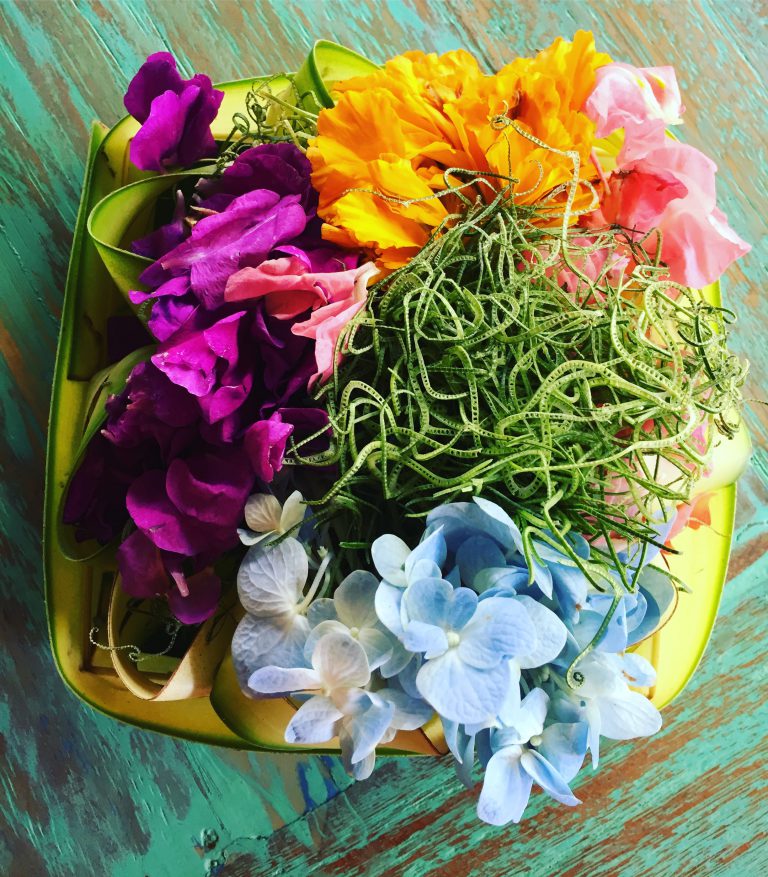 Beauty. Blessings. And Bullshit.