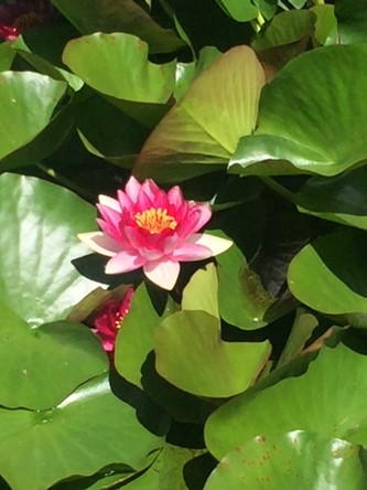 Broken Jaws, Scars & Super Powers