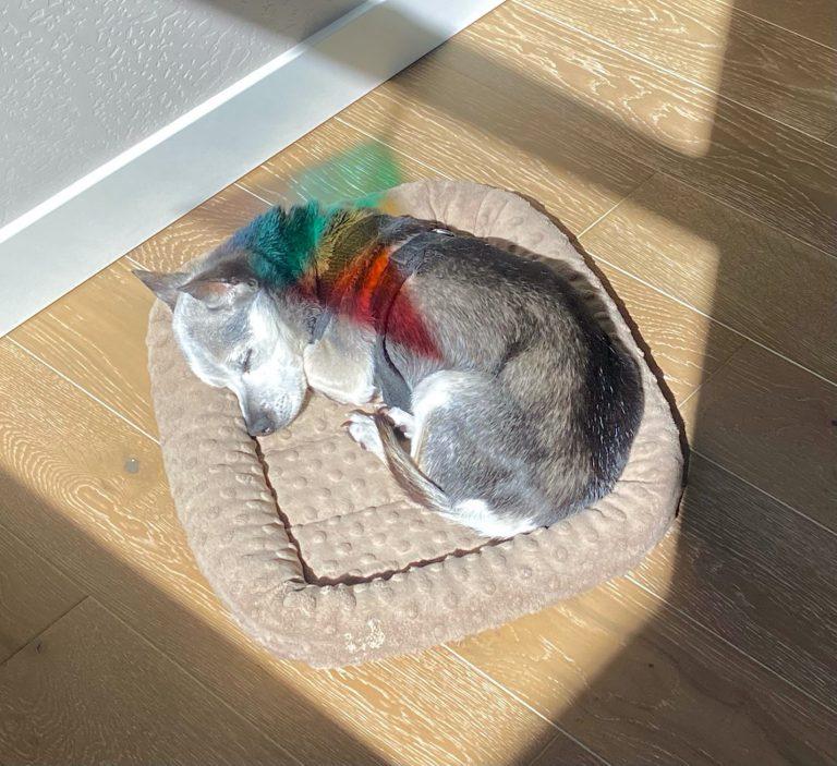 We live in a world of paradox