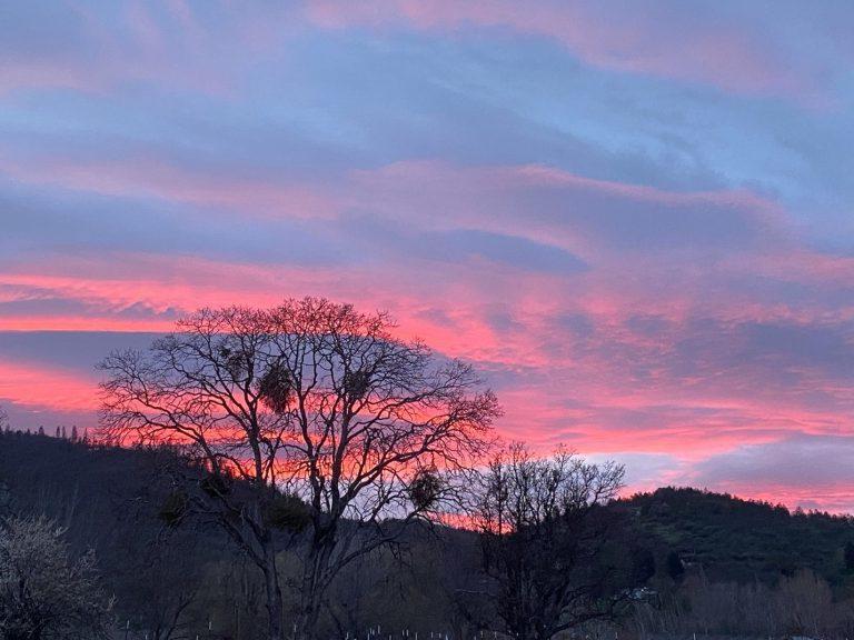 “So what are we to do?”