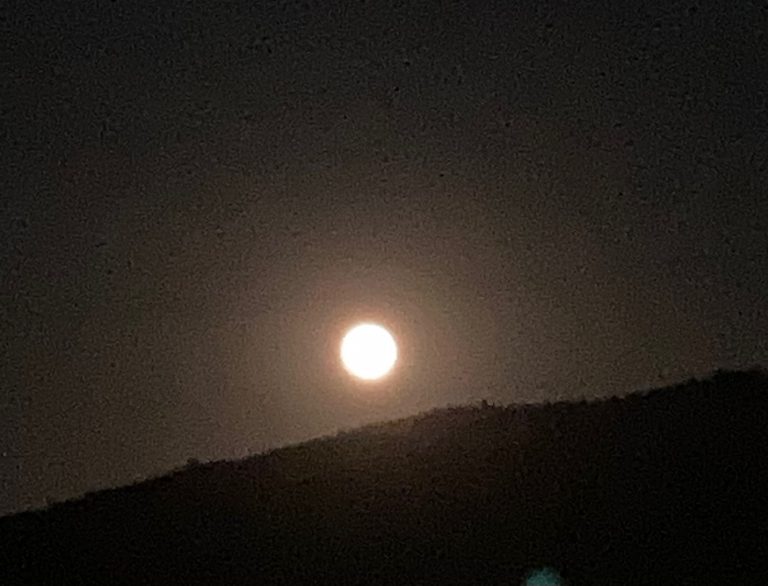 “How else will you free yourself? “