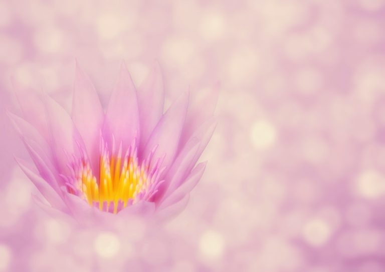 Holy Days Remind Us…