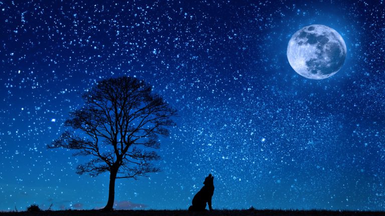 Wolf Moon Blessings to You